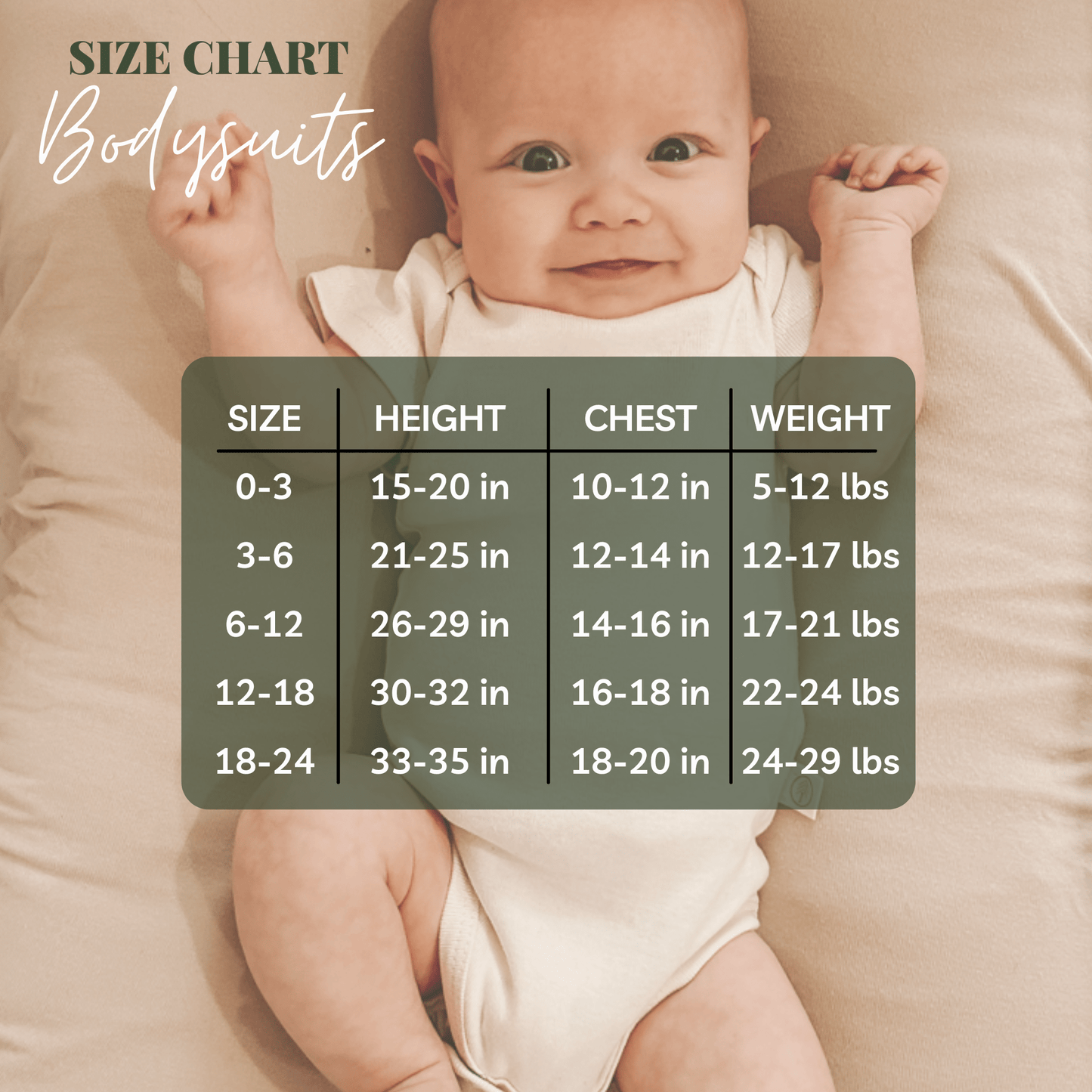 Tenth & Pine = Little Brother Organic Cotton Short Sleeve Baby Bodysuit
