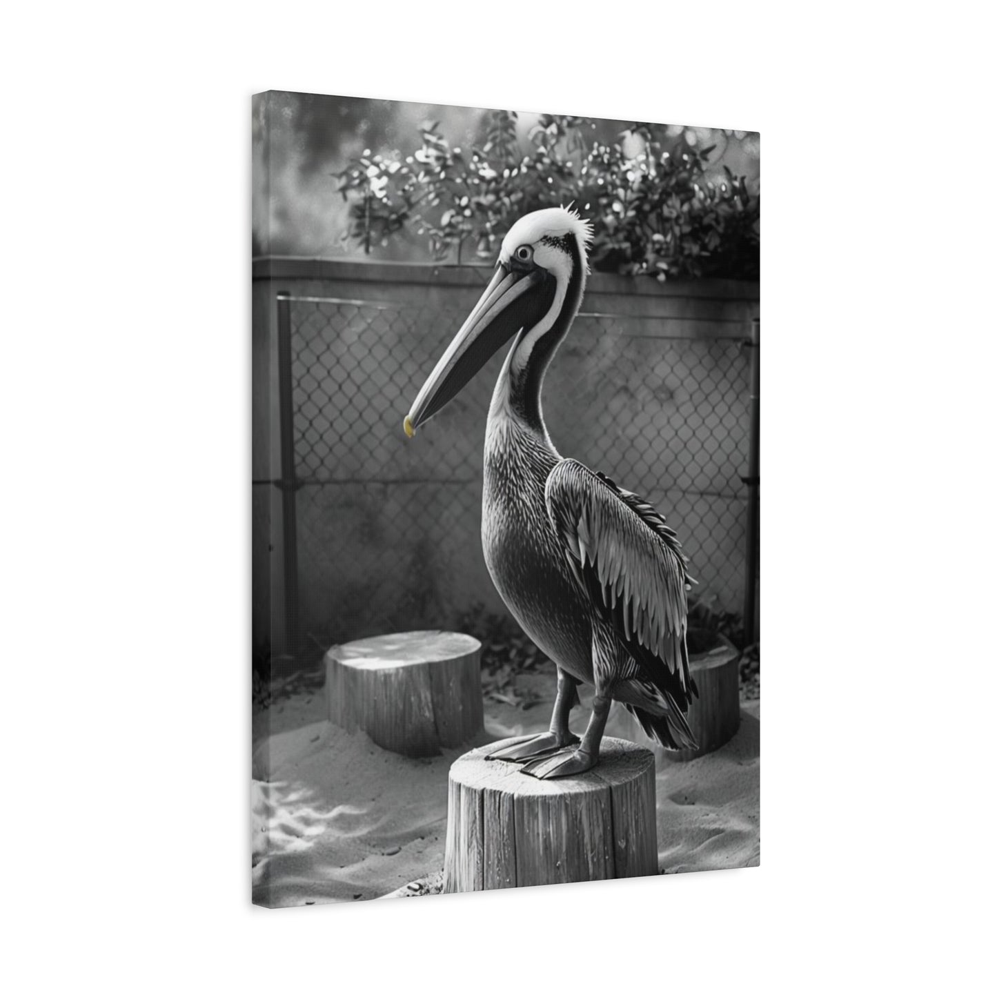 Serene Black and White Pelican Canvas Art