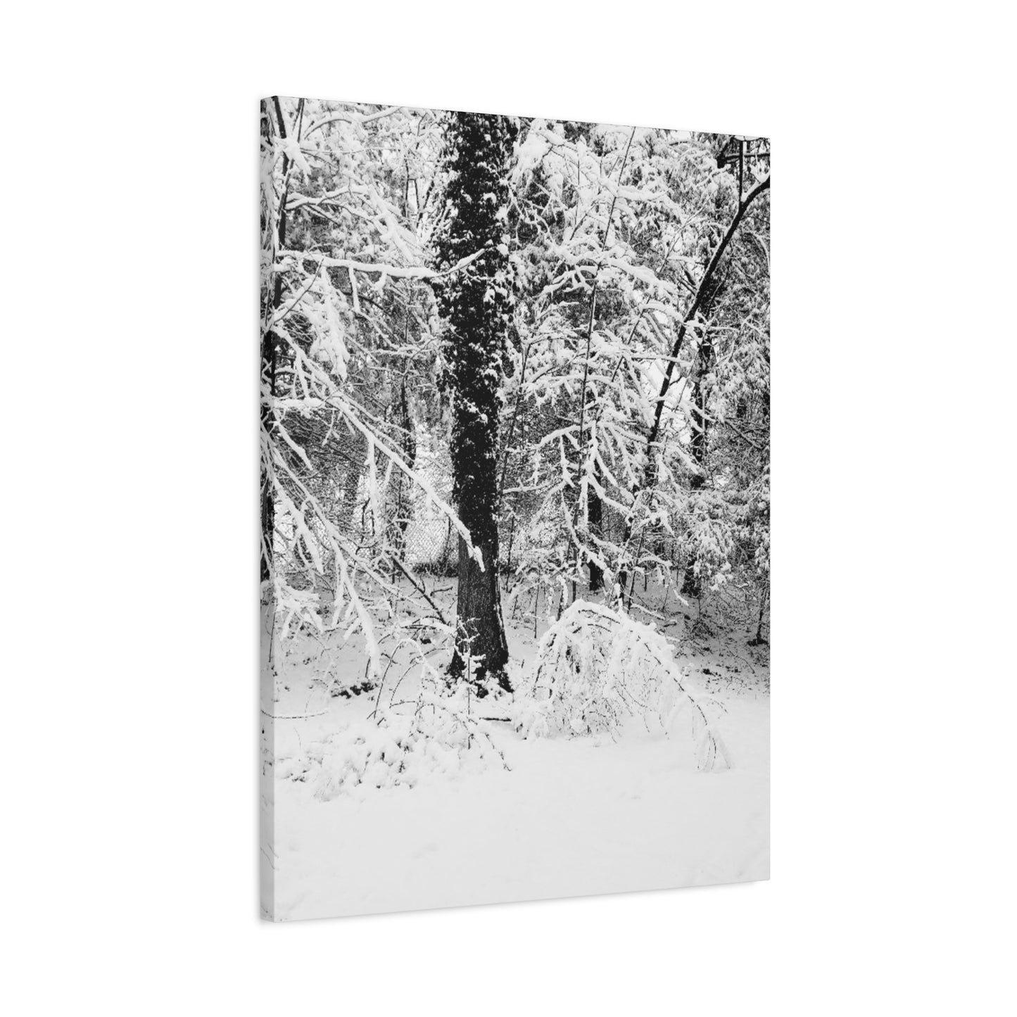 Serene Winter Wonderland in the Woods - Canvas Wall Art