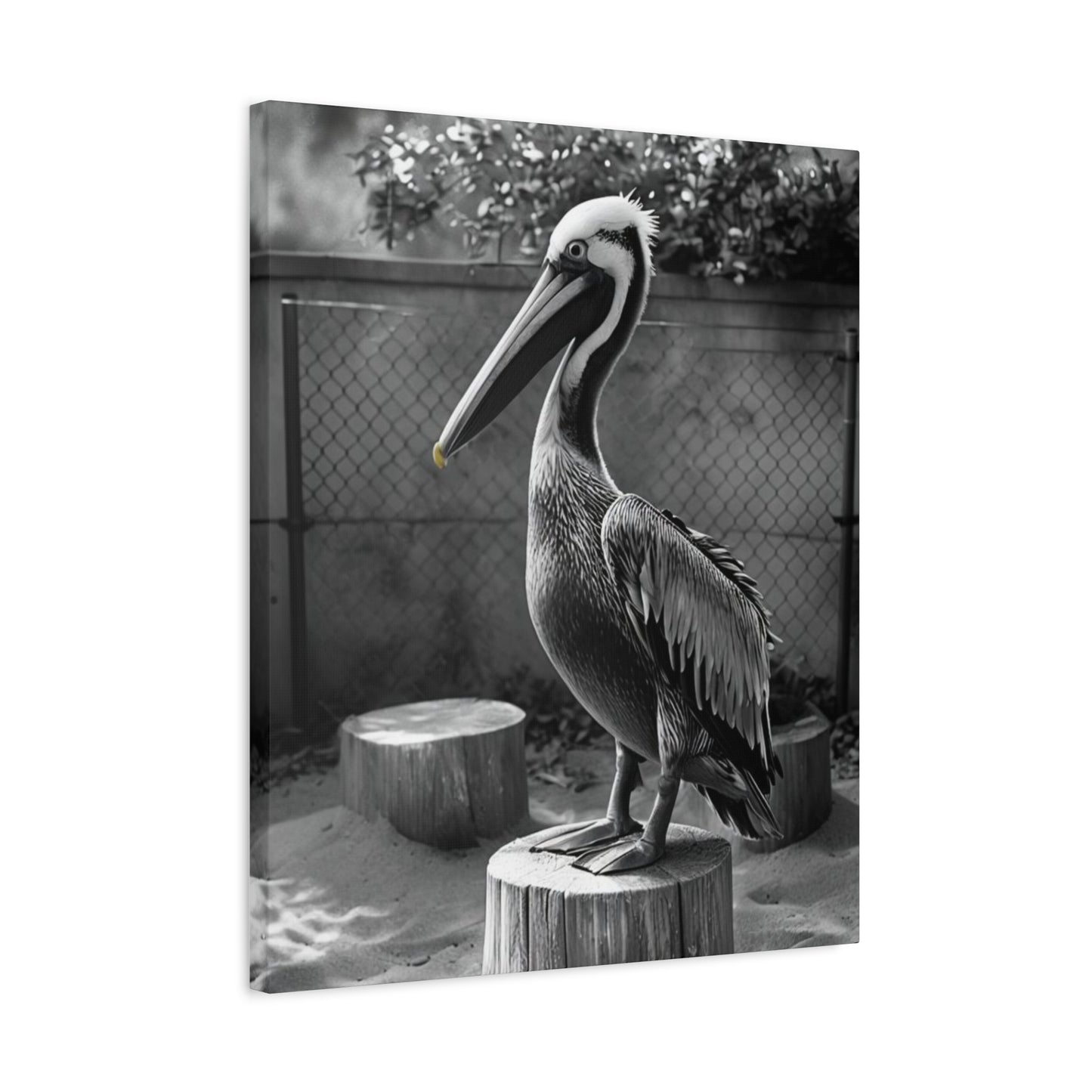 Serene Black and White Pelican Canvas Art