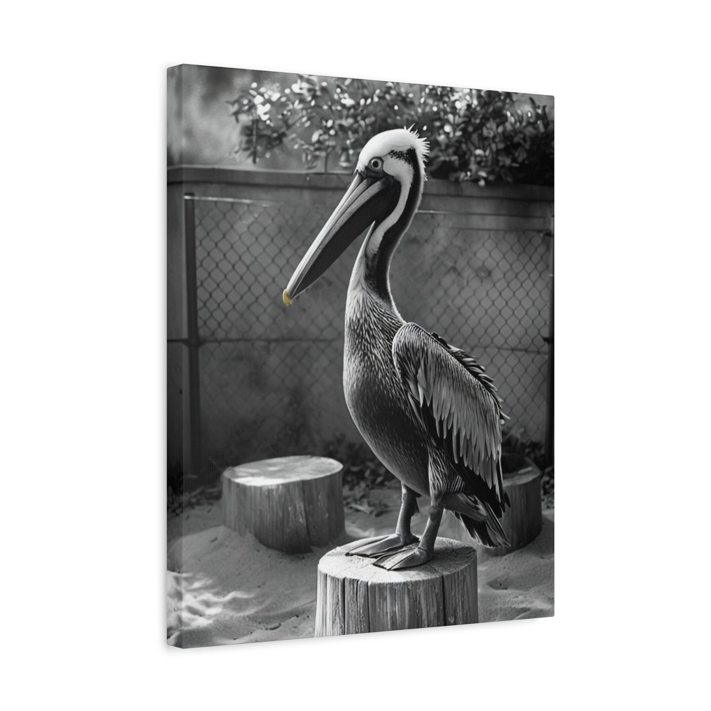 Serene Black and White Pelican Canvas Art