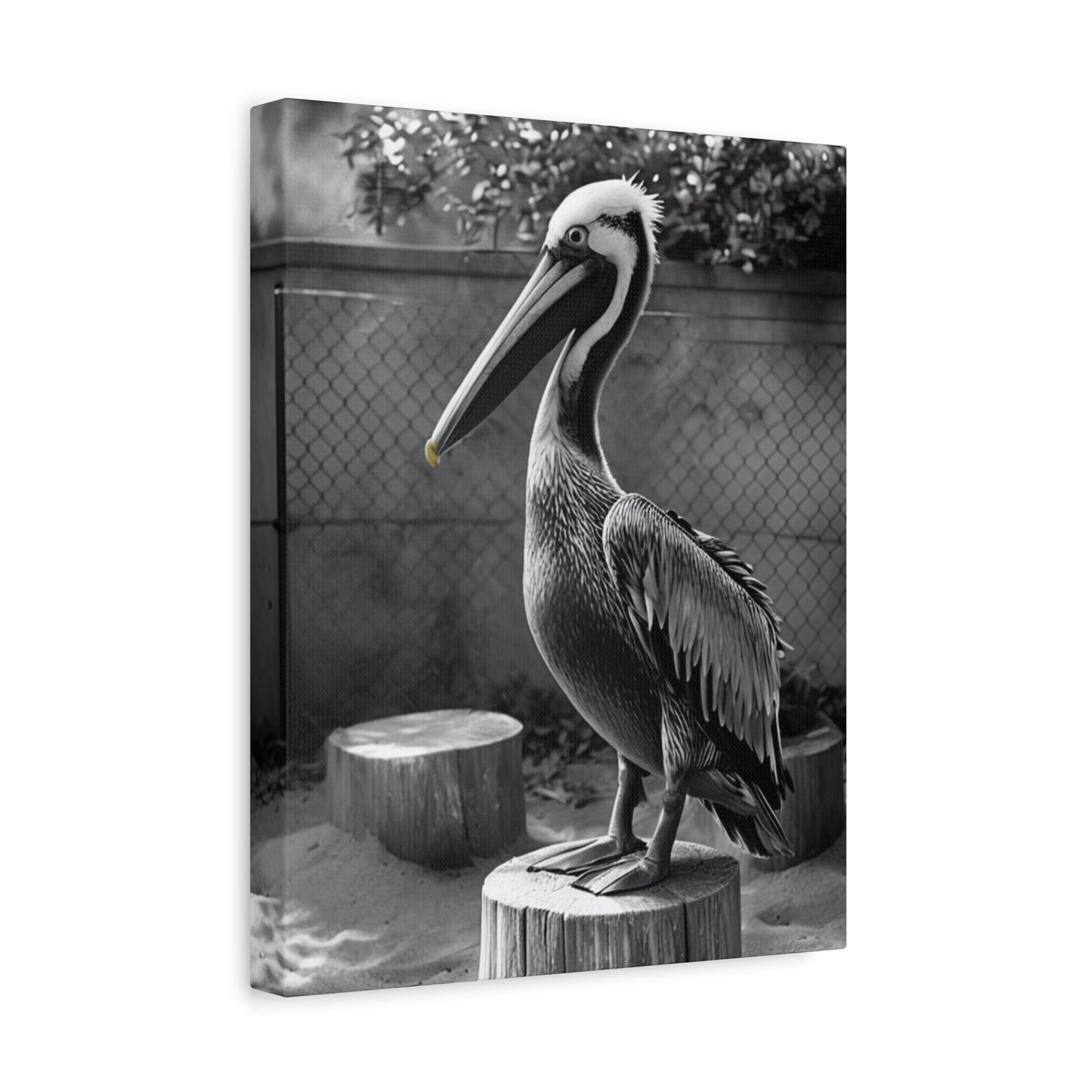 Serene Black and White Pelican Canvas Art