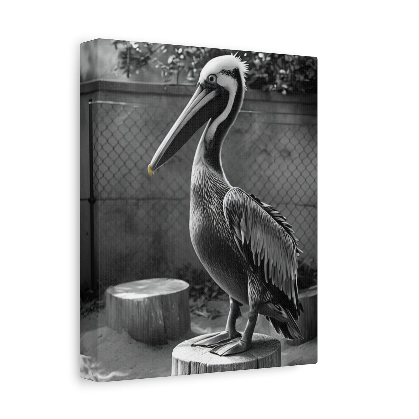 Serene Black and White Pelican Canvas Art