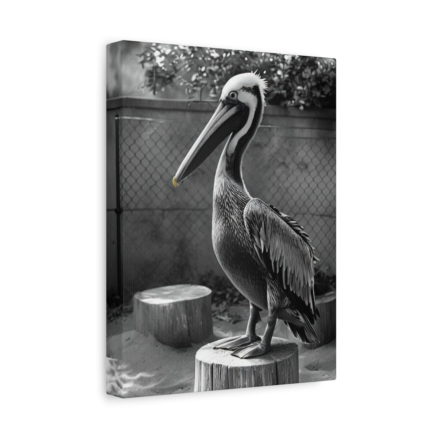 Serene Black and White Pelican Canvas Art