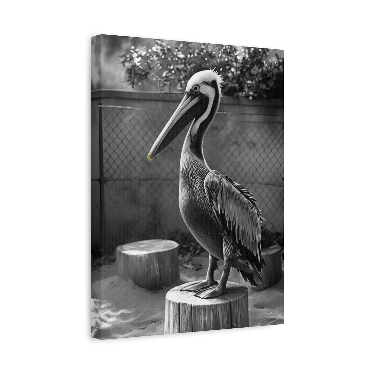 Serene Black and White Pelican Canvas Art