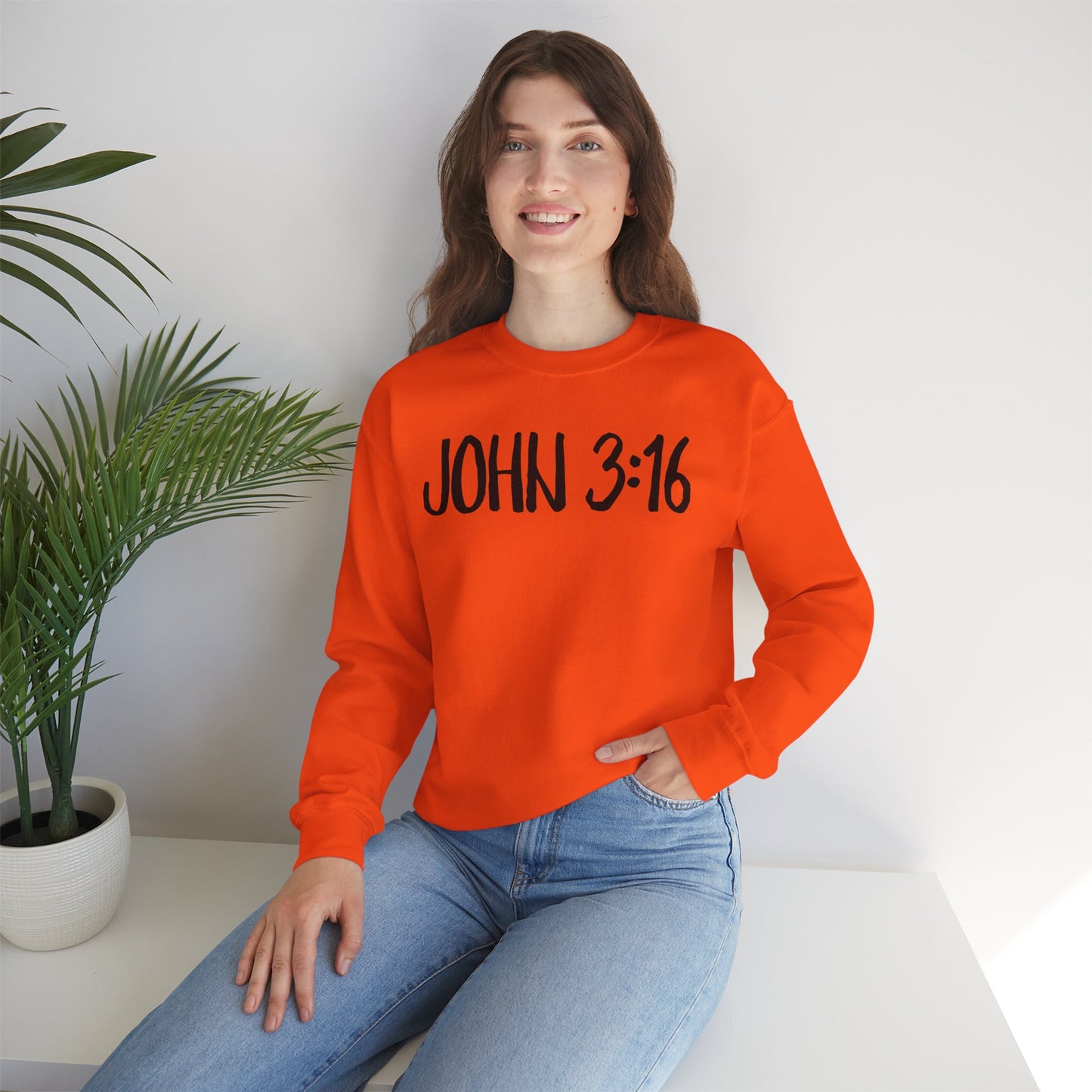 Faith Inspired John 3:16 Crewneck Sweatshirt