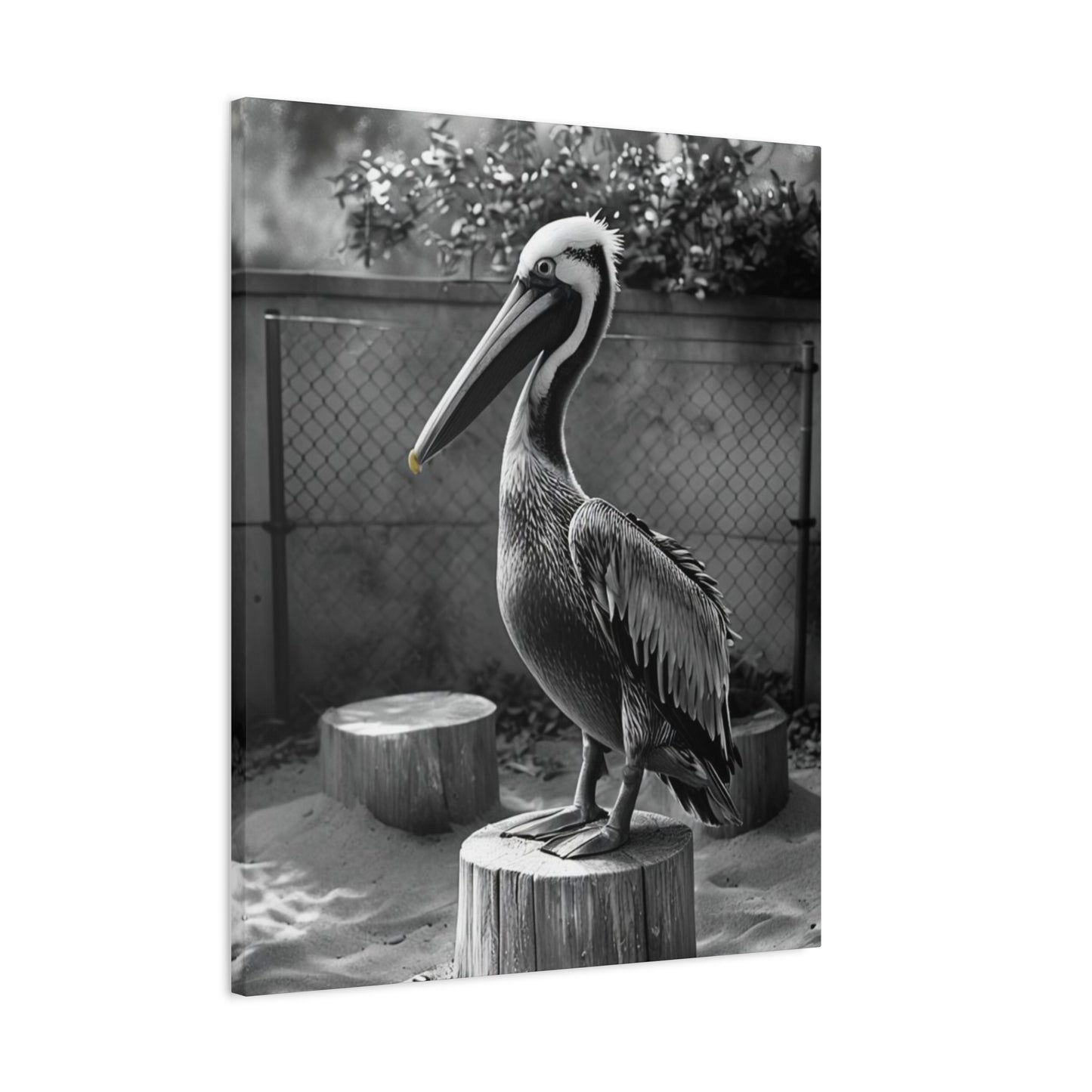 Serene Black and White Pelican Canvas Art